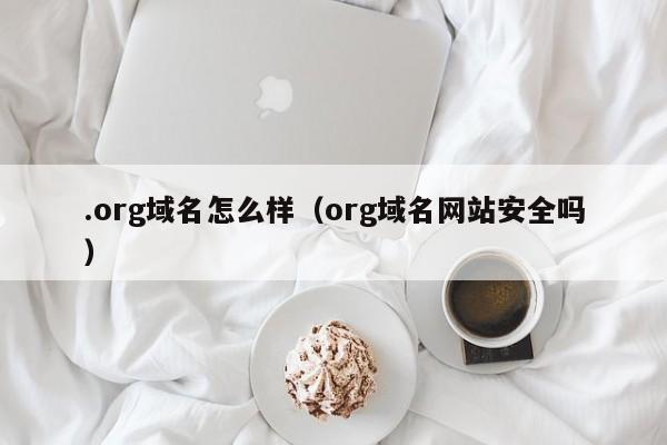 .org域名怎么样（org域名网站安全吗）